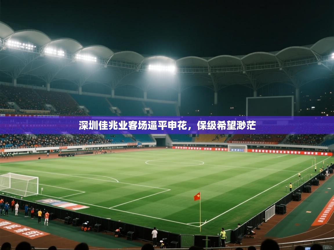 深圳佳兆业客场逼平申花，保级希望渺茫  第1张